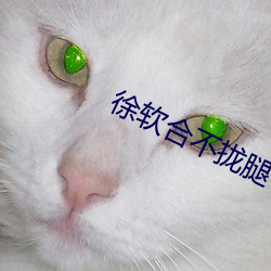 徐软合不拢(攏)腿