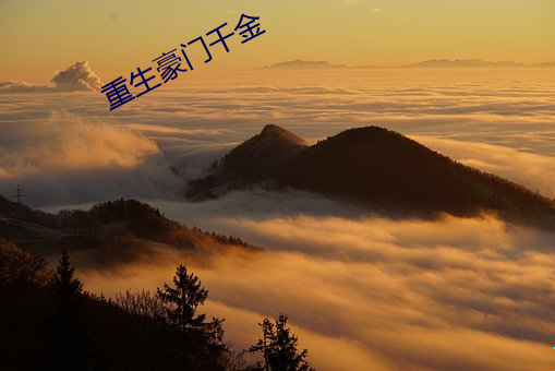 重生豪門千金