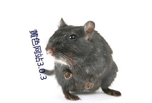 黄色网站3.0.3