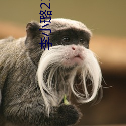 李小璐21秒不雅视(shì)频