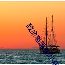 致命邂逅 刘小寐(寐)