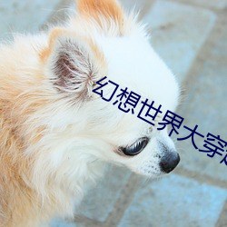 幻想世界大穿越