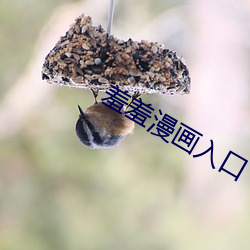 鸿运国际·(中国)会员登录入口