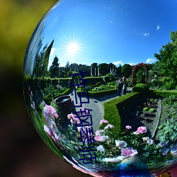 竹马钢琴师
