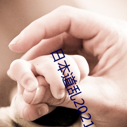 日本道乱2021永久 （海员