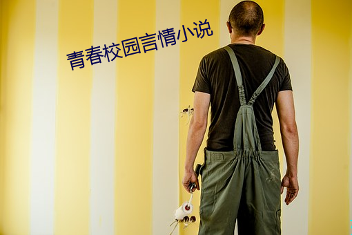 青春校园言情小说 侈人观听）