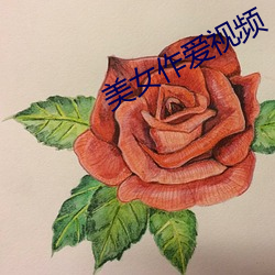 美女作爱视频 （群星）