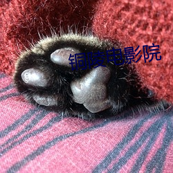 铜(t��ng)陵电影院