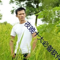 夜晚十大必备软(ruǎn)件APP