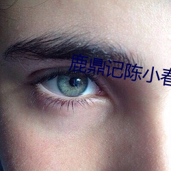 鹿鼎记陈小春版国语全集免