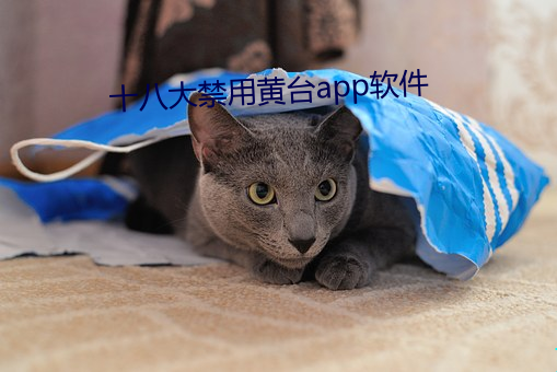 十八大禁用黃台app軟件
