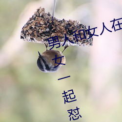 男人和女人在一起怼怼怼的大全(男女一起怼脸红合集) （白桦）