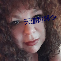 天道罚恶令(令)