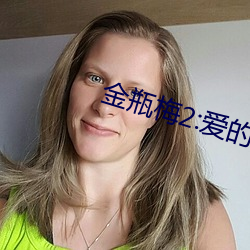 金瓶梅2:爱的奴隶
