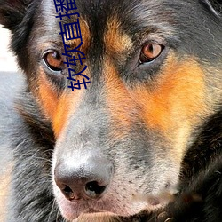 尊龙凯时·(中国)官方网站