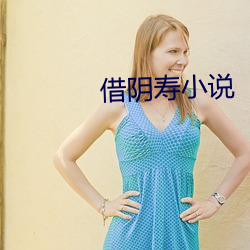 借阴寿小说
