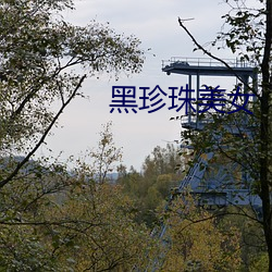 黑珍珠美女
