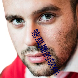 赌直播(播)的软件