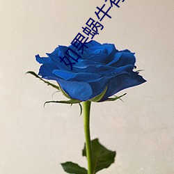 如果蝸牛有愛情小說