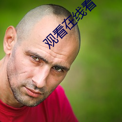 观看在线看(kàn)