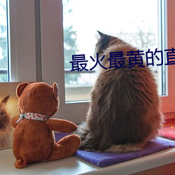 suncitygroup太阳集团--官方网站