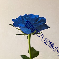 愛的二八定律小說