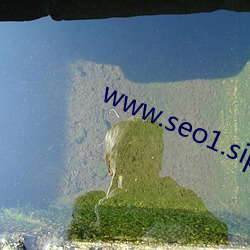 www.seo1.sip （异路同归）