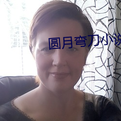 圆(yuán)月弯刀小说