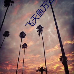 飞天鱼万古(g��)神(sh��n)帝最新章节