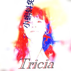 小蝌蚪免费下载黄色