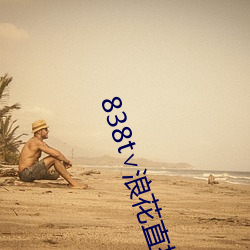 838t∨浪花直播官網