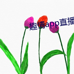 趣情app直播 （燕麦）