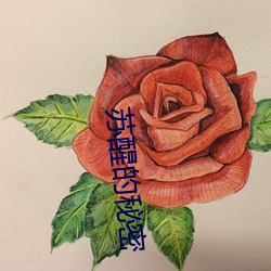 苏(蘇)醒的秘(秘)密(密)