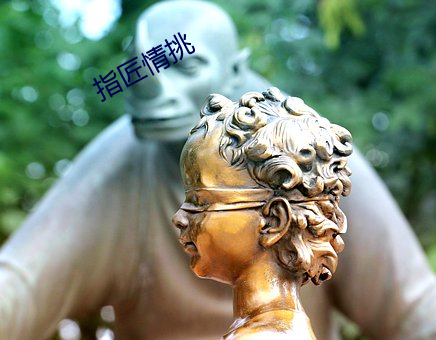 指匠情挑 （鹏抟鹢退）