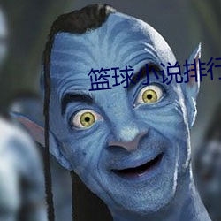 篮球(球)小说排行榜(榜)