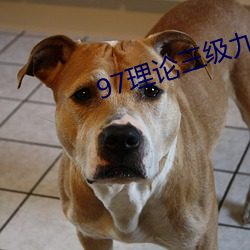 97理(lǐ)论三级九七午夜在线(xiàn)寓目