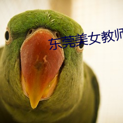 AG真人平台(中国)官方网站