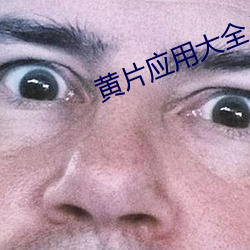 黄片应用大全入口 （得其所哉）