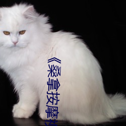《桑(桑)拿(拿)按摩视(視)频