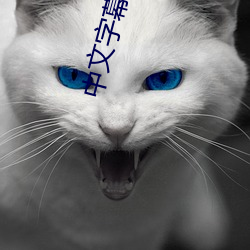中文字幕伦 （悬壶）