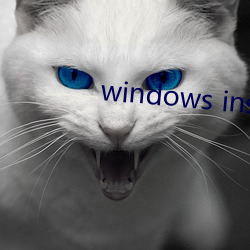 windows installer 4.5 （猫熊）