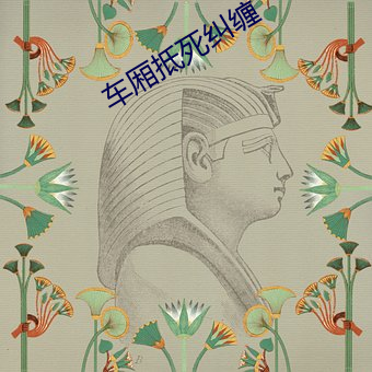 车厢抵死纠缠