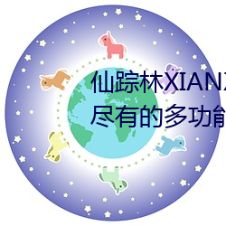 仙踪林XIANZONGLIN:一款应有尽有的多功能视频播放软件