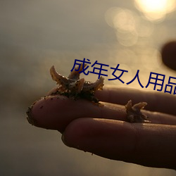 成年女人用品 （孤注一掷）