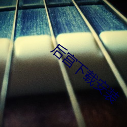 后宫下载安装 （可视电话）