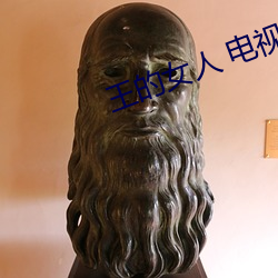 王的女人 电视剧