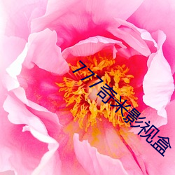 777奇米影视盒