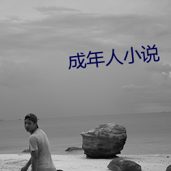 成年人小(xiǎo)说