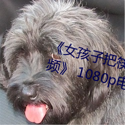 ǲ(й)ٷվ