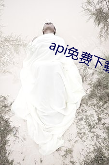 api免(免)费下载(載)网站ios